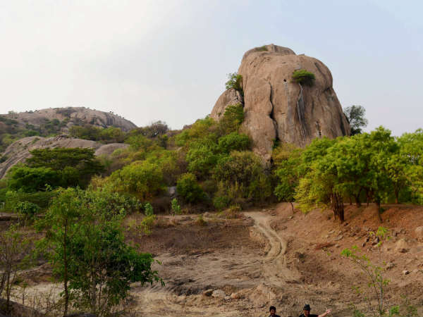 ದೊಡ್ಡ ಗಾತ್ರದ ಹದ್ದುಗಳು 