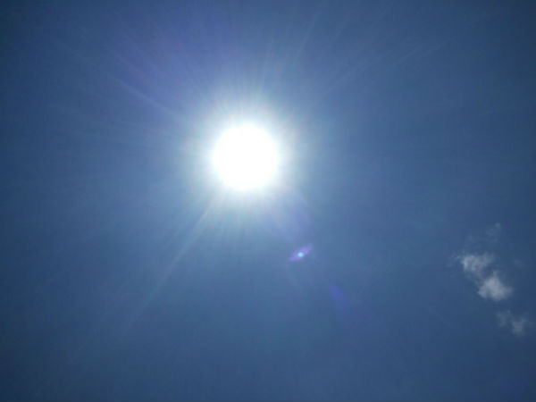 Tips to minimise the impact during the heat wave Tips to minimise the impact during the heat wave