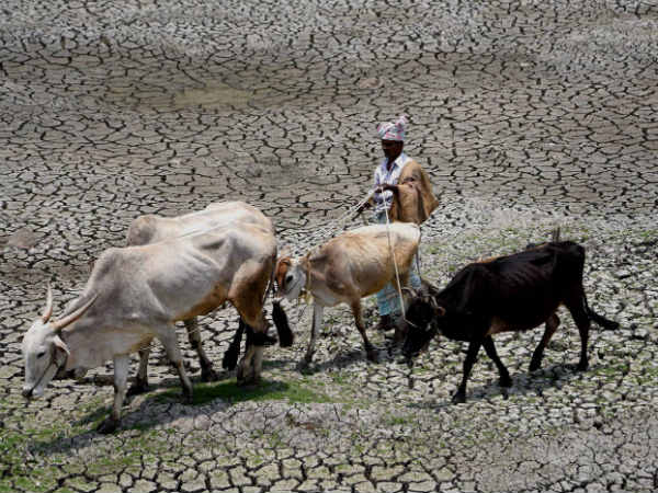 ಬರದ ಹೊಡೆತಕ್ಕೆ ಸಿಕ್ಕ ಬದುಕು