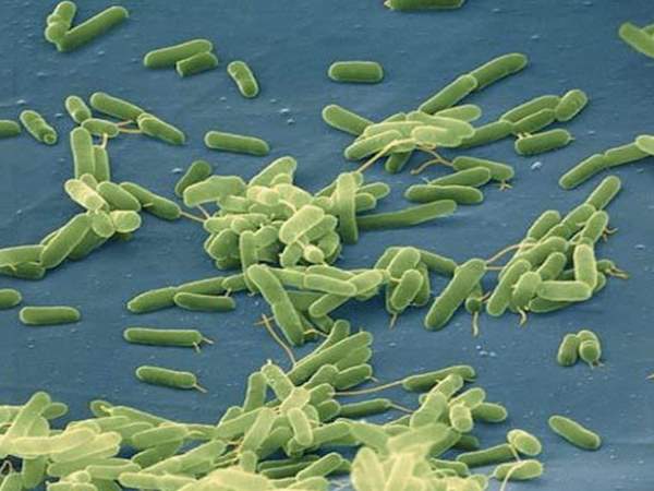  ಬೇಸಿಗೆಯ ಸಮಸ್ಯೆಗಳು