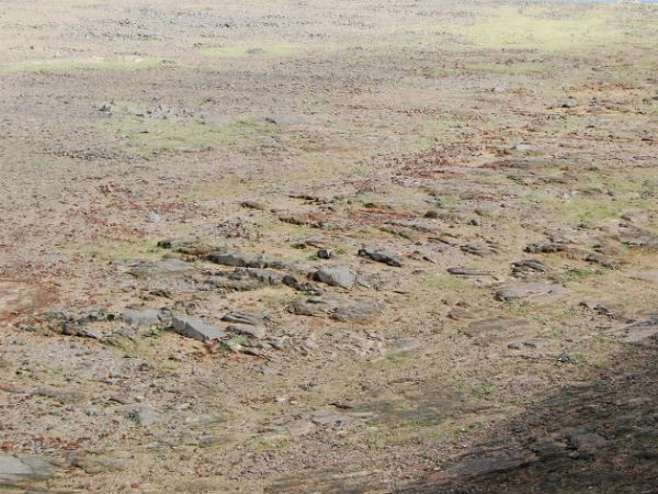 ಜಲಾಶಯದ ನೀರಿನ ಮಟ್ಟ