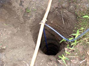 ಬದುಕಿದಳು ಕಲ್ಲವ್ವ 