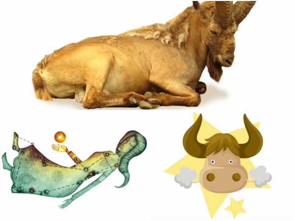 ಮಕರ, ಕನ್ಯಾ ಮತ್ತು ವೃಷಭಕ್ಕೆ ಭೂಮಿ ಸಂಕೇತ ಮಕರ, ಕನ್ಯಾ ಮತ್ತು ವೃಷಭಕ್ಕೆ ಭೂಮಿ ಸಂಕೇತ