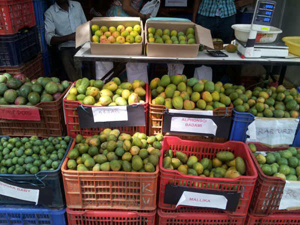 HOPCOMS Mango- Jack fruit Mela begins from Today