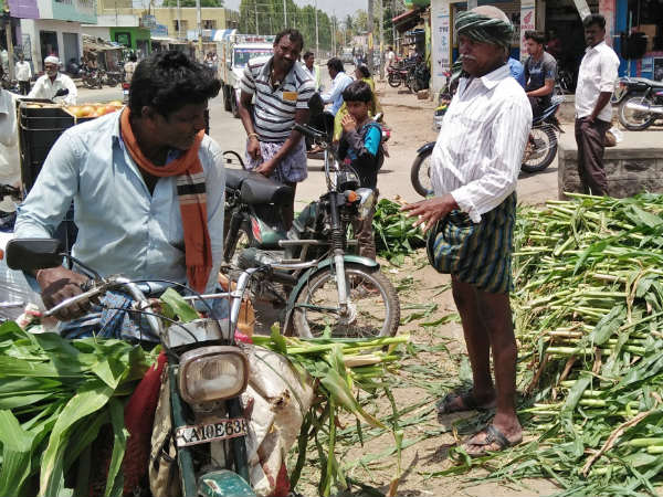 ಬರದಿಂದ ತತ್ತರಿಸುತ್ತಿದೆ ತಾಲೂಕು