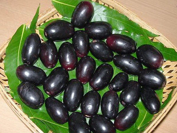  ವೈನ್ ತಯಾರಿಕೆ