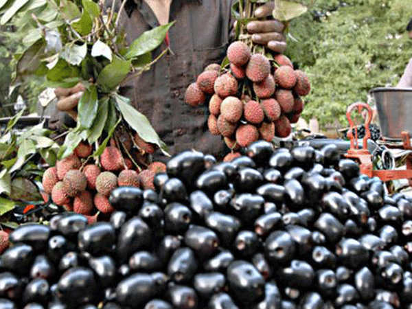 ತಿಂದು ಹಾಲು ಕುಡಿಯಬೇಡಿ
