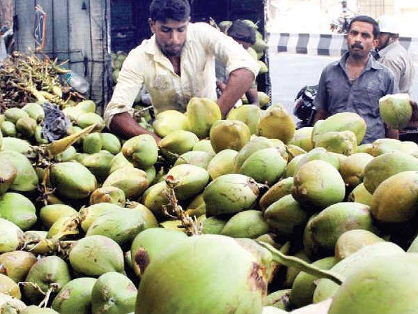 Tender coconut vendors disappeared in Mangaluru due to no harvest 