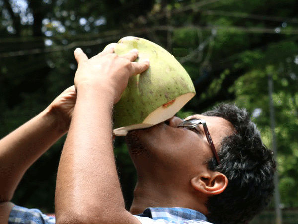 Tender coconut vendors disappeared in Mangaluru due to no harvest 
