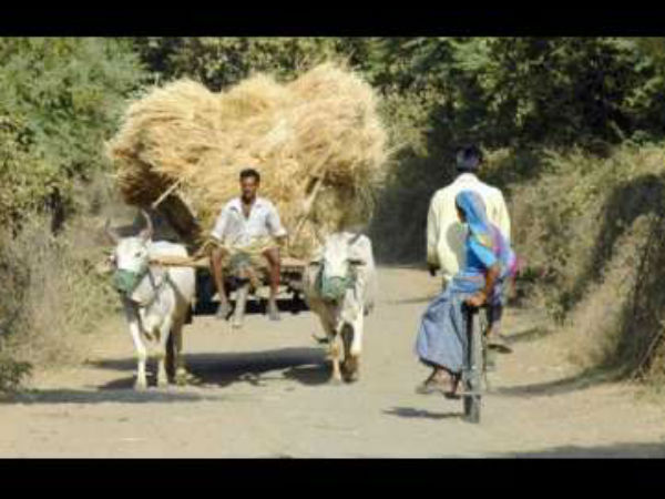 How this summer affecting on Karnataka? How this summer affecting on Karnataka?