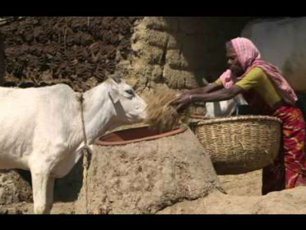 How this summer affecting on Karnataka? How this summer affecting on Karnataka?