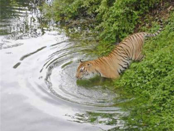 Mangaluru: Authorities installed sprinklers for animals in Pilikula Zoo 