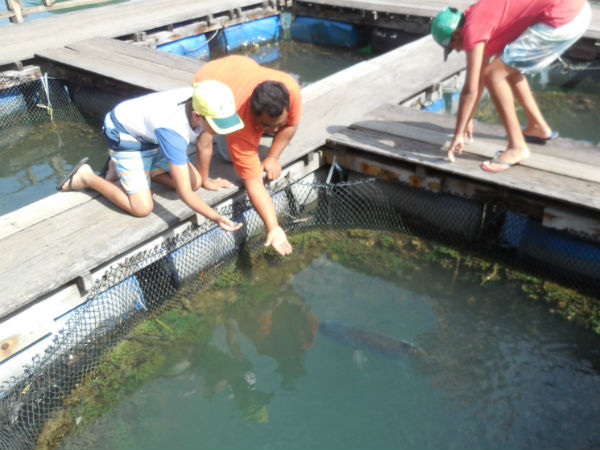 Lang Kavi of Malaysia-a magical island!