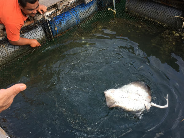 Lang Kavi of Malaysia-a magical island!