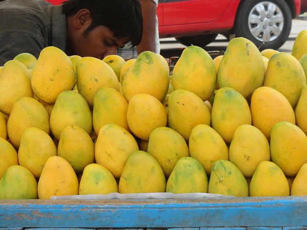 King of fruits, mango has come to market: Be careful while buying 