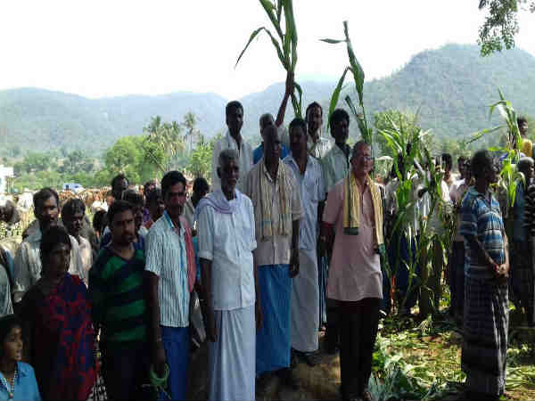 Ramachandrapura Math supplied 550 ton of fodder so far Ramachandrapura Math supplied 550 ton of fodder so far