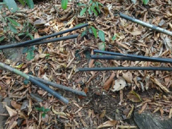 Amidst scarcity of water, forest officials cut down water pipes at Sullia