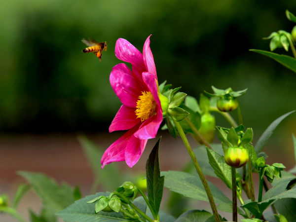Best letter written by daughter on father on Mother's day Best letter written by daughter on father on Mother's day