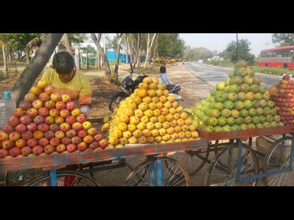 ಬೇಸಿಗೆಯಿಂದ ಕಂಗಾಲು: 