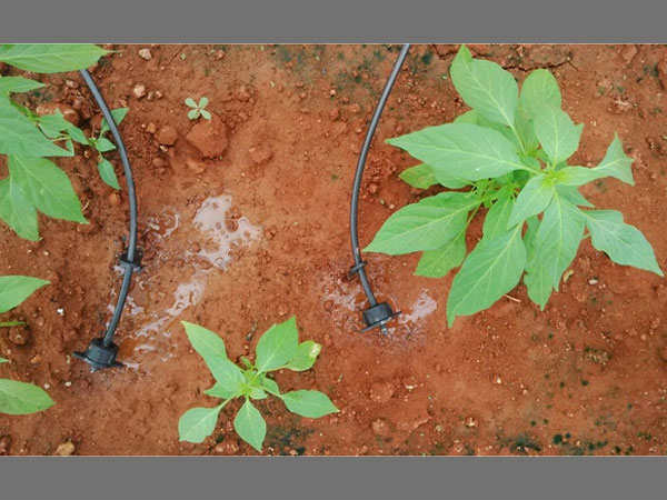 RobotiX, the farming tool of the future is here