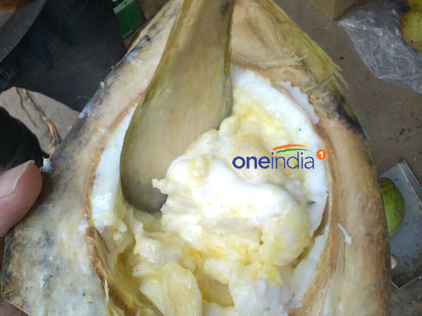 ಖಾದ್ಯವಾಗಿ ಇದೀಗ ಬಳಕೆ 