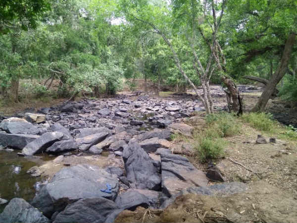 ತೀವ್ರ ಬರಗಾಲ