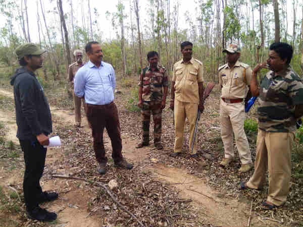  Volunteers joined Elephant Census in Bandipur