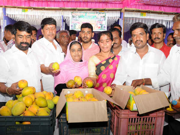 ತರಹೇವಾರಿ ಹಣ್ಣು, ಕೈಗೆಟುಕುವ ಬೆಲೆ