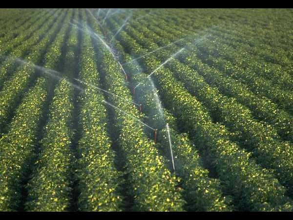 ಕೃಷಿ ಸಿಂಚೈ ಯೋಜನೆಯ ಪ್ರಗತಿ ಹೇಗಿದೆ