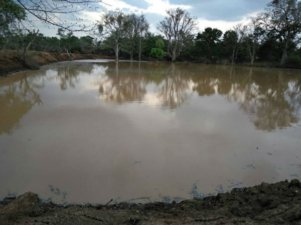 ತುಂಬಿತು ಕೆರೆ