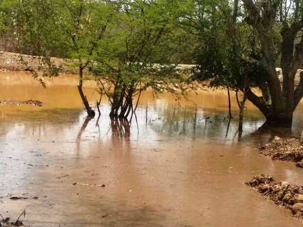ನೀರುತುಂಬಿ ನಳನಳಿಸುತ್ತಿವೆ ಕೆರೆಗಳು