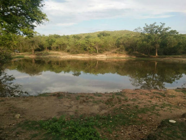 ಉಕ್ಕುತ್ತಿದೆ ಜೀವಜಲ