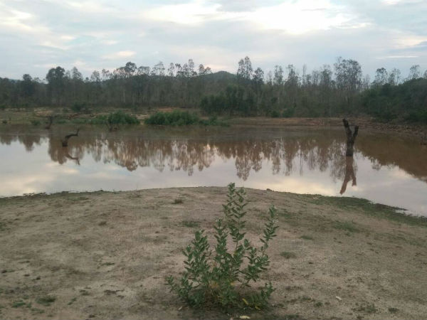 ರೈತಾಪಿ ವರ್ಗಕ್ಕೆ ನೆಮ್ಮದಿಯ ಸುಗ್ಗಿ