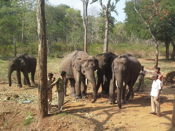 ದ್ವೀಪದಂತಾಗಿದೆ ಬದುಕು! ದ್ವೀಪದಂತಾಗಿದೆ ಬದುಕು!