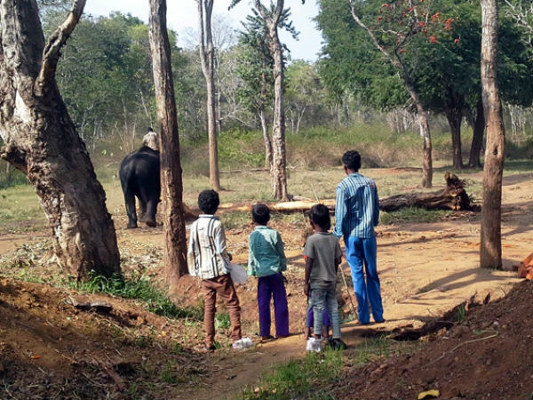 ಮನುಷ್ಯರಿಗೂ-ಆನೆಗೂ ಕುಡಿಯೋದಕ್ಕೆ ಒಂದೇ ನೀರು! ಮನುಷ್ಯರಿಗೂ-ಆನೆಗೂ ಕುಡಿಯೋದಕ್ಕೆ ಒಂದೇ ನೀರು!