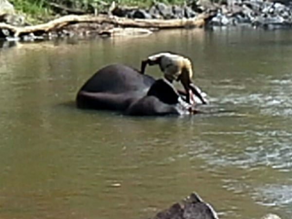 ಶಿಬಿರದ ಸುರಕ್ಷತೆ ಅಂದರೆ ದಿವ್ಯ ನಿರ್ಲಕ್ಷ್ಯ ಶಿಬಿರದ ಸುರಕ್ಷತೆ ಅಂದರೆ ದಿವ್ಯ ನಿರ್ಲಕ್ಷ್ಯ