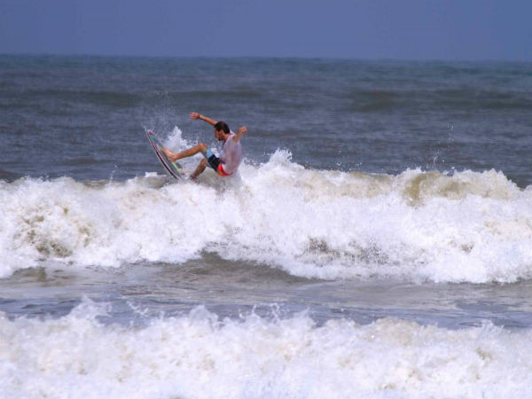 ಆಹಾರ ಉತ್ಸವ