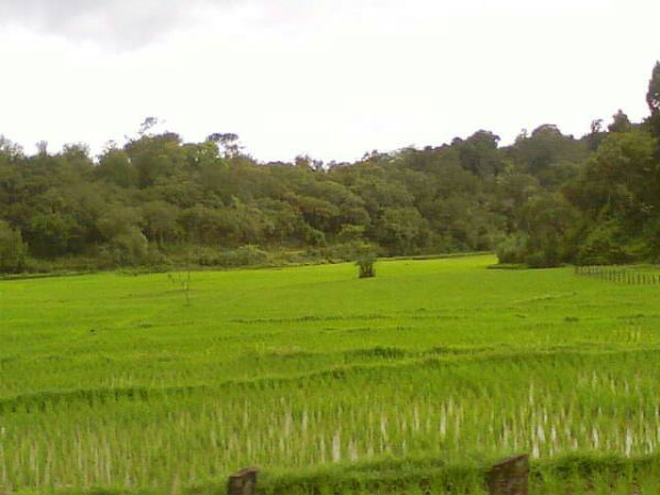 ಮಕ್ಕಳಿಗಂತೂ ರಜೆಯ ಮಜಾ..!