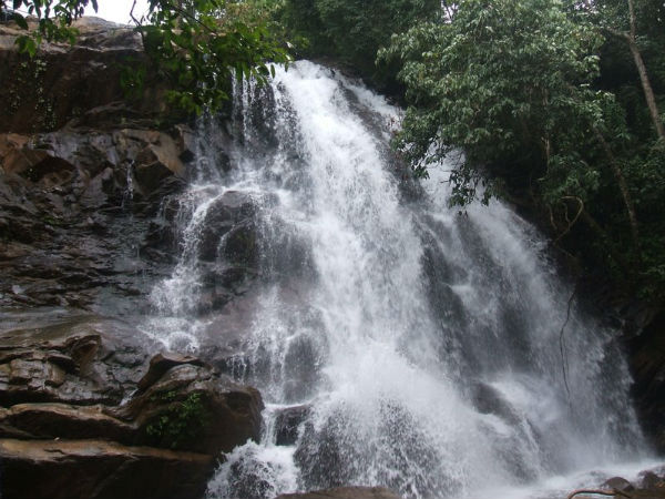 ಜಲಲ ಜಲಲ ಜಲಧಾರೆ...