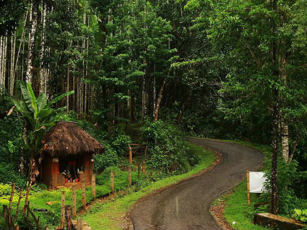 ಹೊಳೆ ದಾಟುವ ಸಾಹಸ