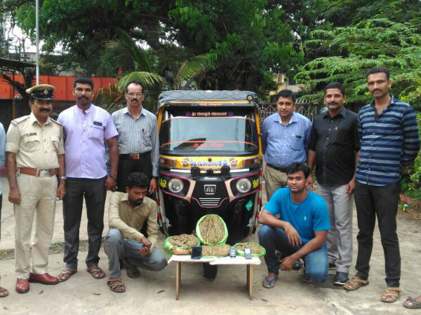The Mangaluru city police arrests two ganja peddlers today The Mangaluru city police arrests two ganja peddlers today