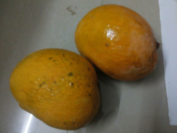 Mango and Jackfruit mela starts from May 5th in Lalbagh