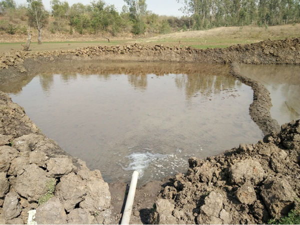 3 lakes of Bandipur National Park in Chamarajangar filled up with water