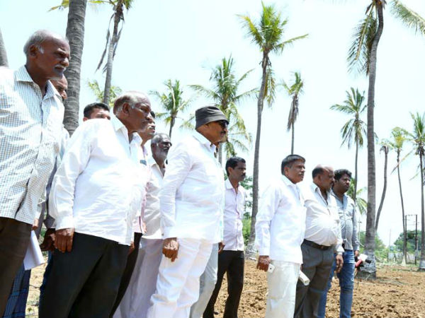 Why Vatal Nagaraj hug cocount tree