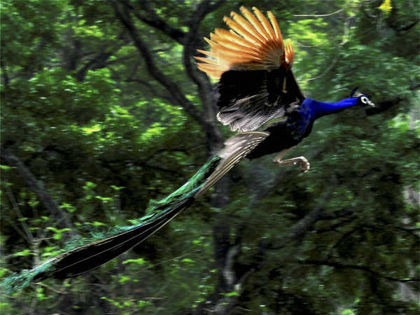 ಇಂಥ ಜೋಕುಗಳನ್ನಾಡುವುದನ್ನು ನಿಲ್ಲಿಸಿ