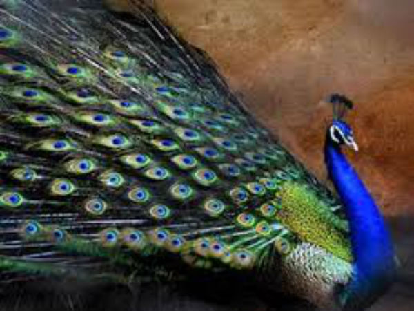 ಜೀವ ವಿಜ್ಞಾನವೂ ಇದನ್ನೇ ಹೇಳುತ್ತೆ 