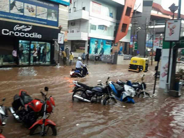 ಮಾಹಿತಿ ಇಲ್ಲದ ವಲಯಾಧಿಕಾರಿಗಳ ವಿಶೇಷ ತಂಡ ಮಾಹಿತಿ ಇಲ್ಲದ ವಲಯಾಧಿಕಾರಿಗಳ ವಿಶೇಷ ತಂಡ