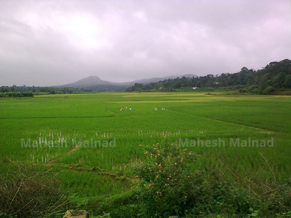 ನಾ ಬರ್ತಿನಿ ಎಂದು ತನ್ನ ಮನೆಗೆ ಹೊರಟ.