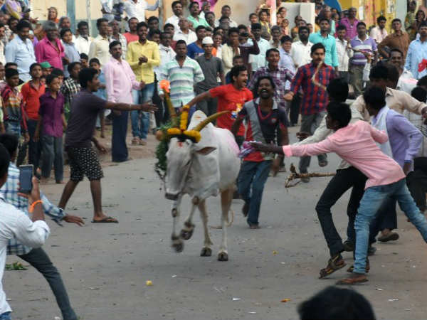 Kara Hunnime celebration in and around Hubballi