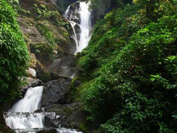 ಎಲ್ಲೆಡೆ ಜೀವರಕ್ಷಕರು